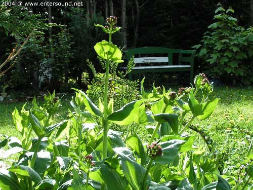 garten066