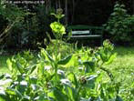 garten066