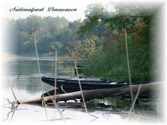 14a.www.entersound.net01